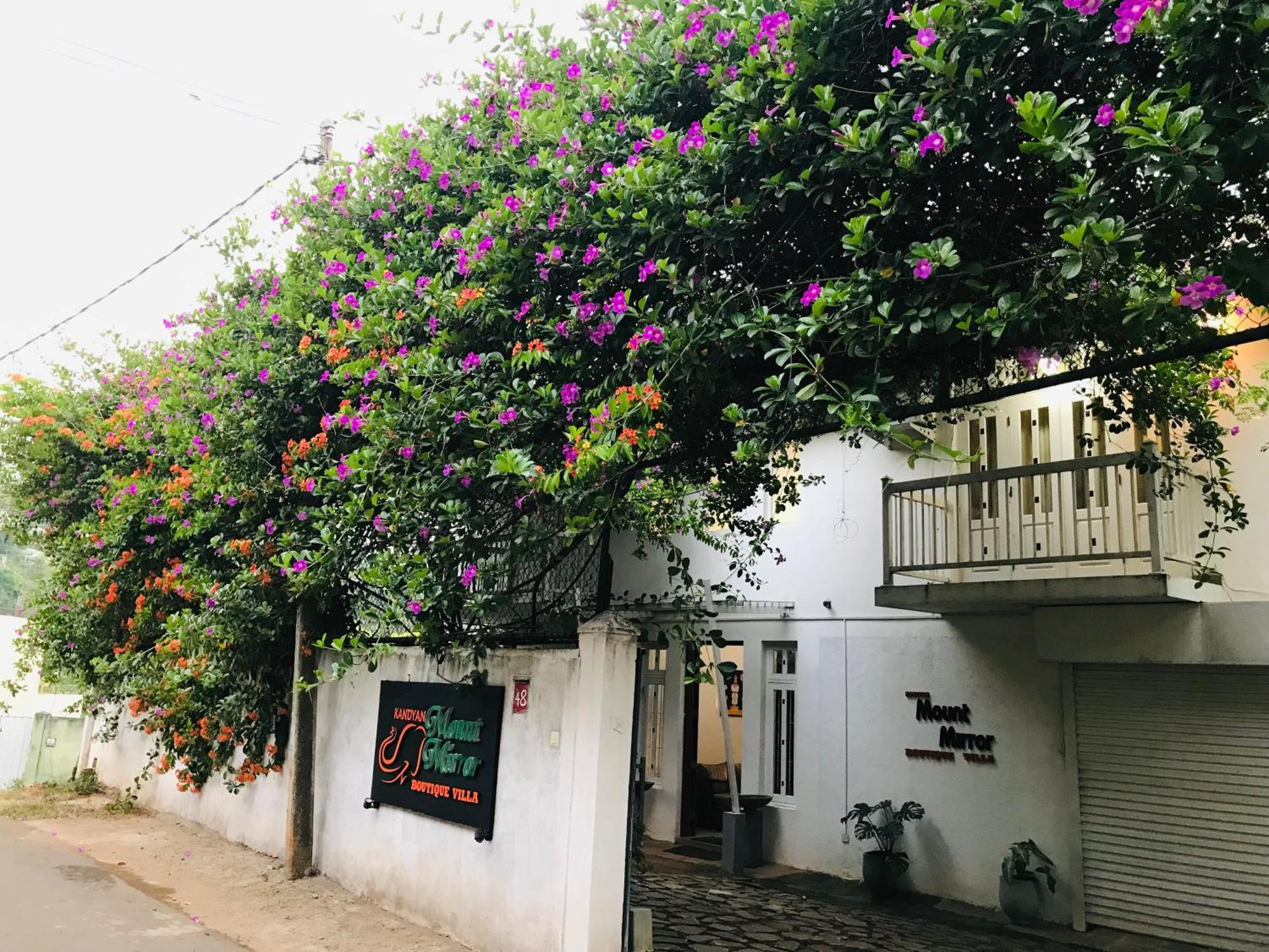 Kandyan Mount Mirror Boutique Villa Εξωτερικό φωτογραφία